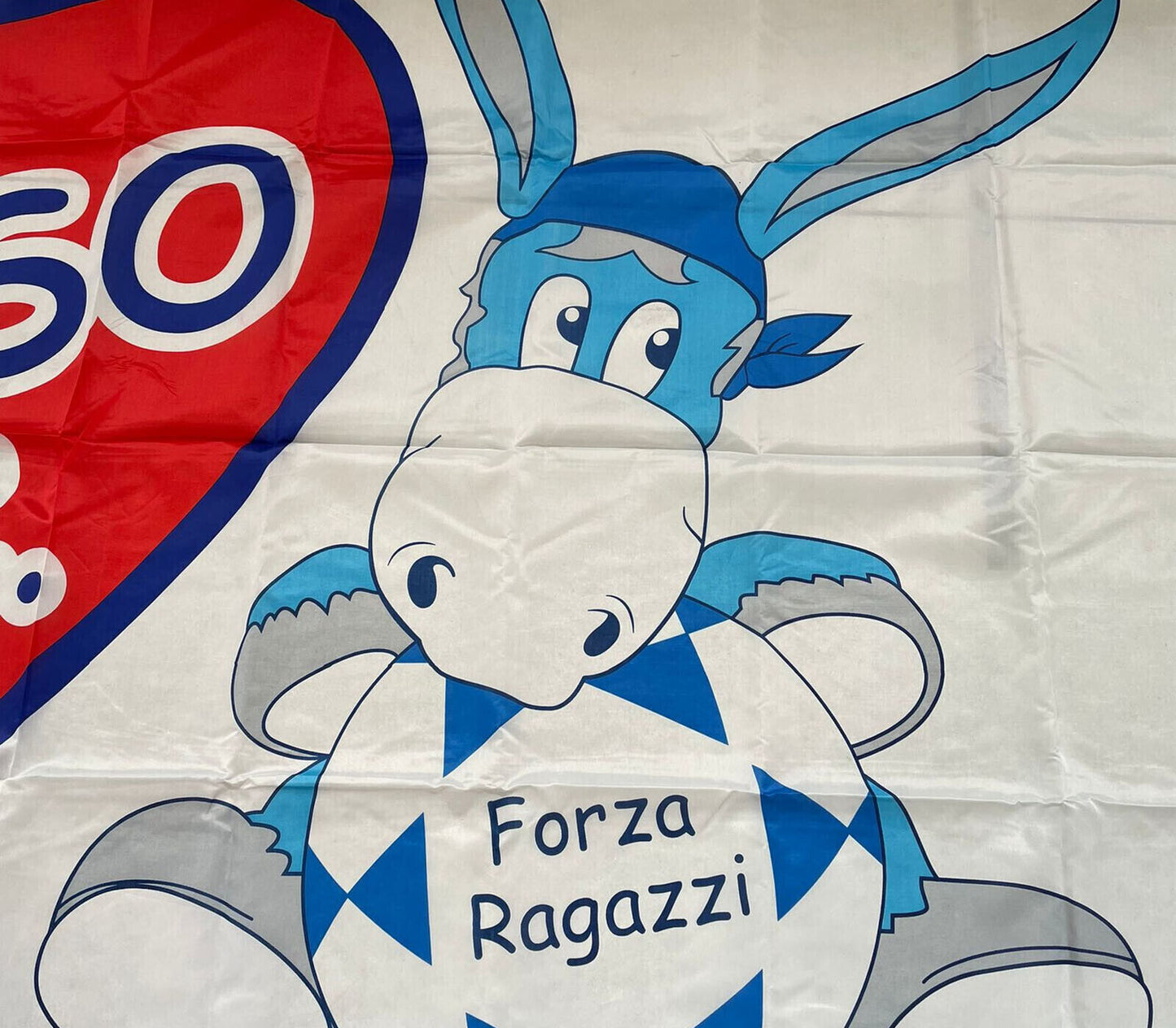 Bandiera Del Napoli Gigante Tifoso DOC 270x170cm Tifoseria Azzurra Ssc Napoli